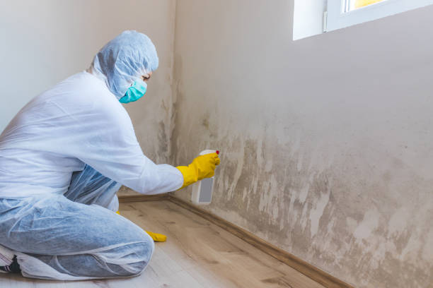 Commercial Mold Remediation assessment for commercial property in Dumfries