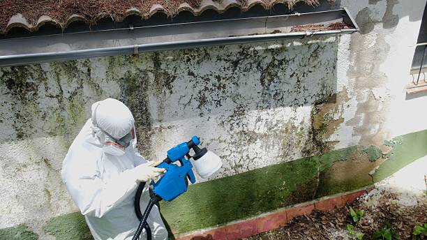 Mold Remediation service in Dumfries, Dumfries, VA